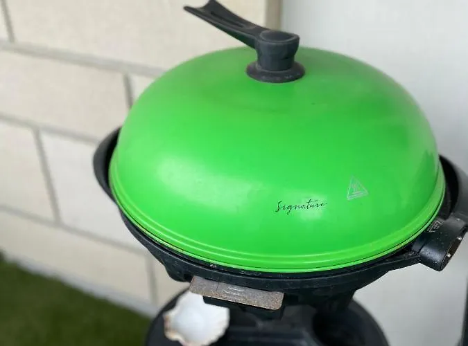 Terrasse Vue Apartment